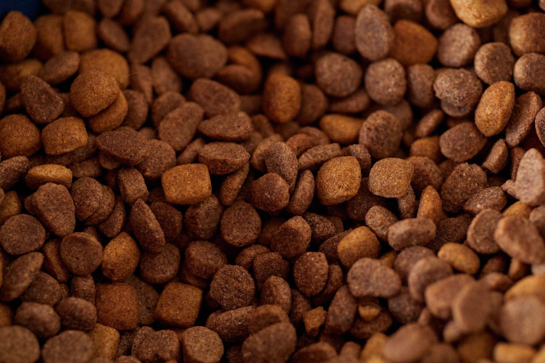 Nahaufnahme von Trockenfutter-Kroketten in verschiedenen Formen und Farben